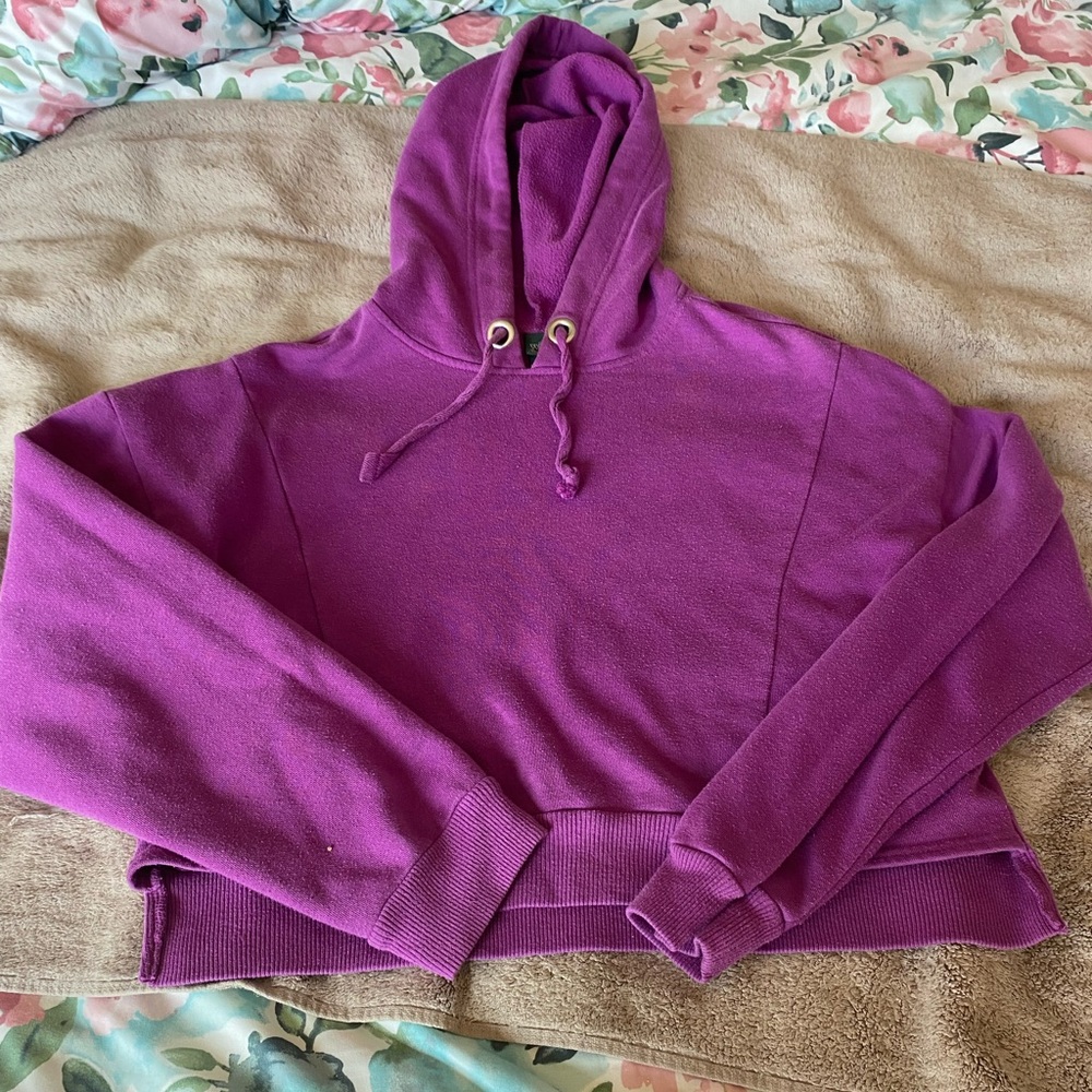 Wild Fable Hoodie Sweater